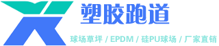 专业体育场地施工厂家 - 塑胶跑道/EPDM地面/硅PU球场一站式服务 