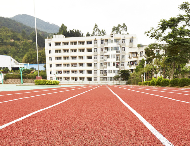 塑胶跑道多少钱一平米